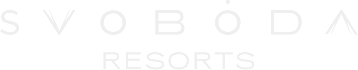 Лого «Svoboda Group»
